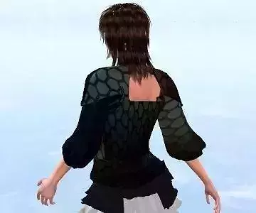 Blouse woman in dress in sky