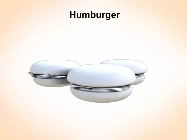 Humburger 3D model_0