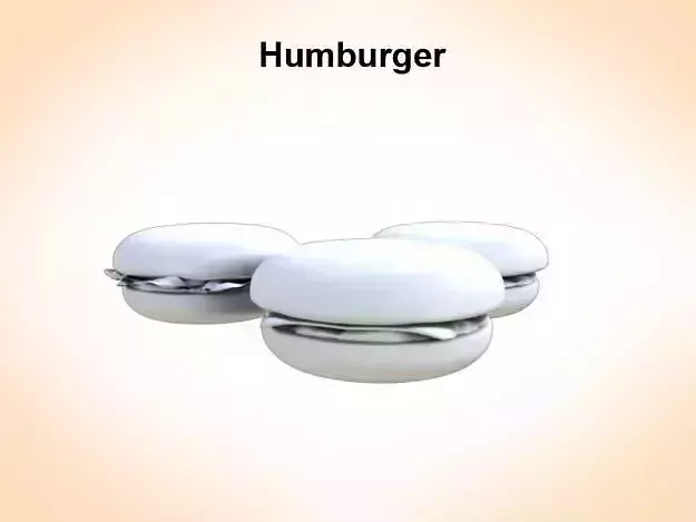 Humburger 3D model