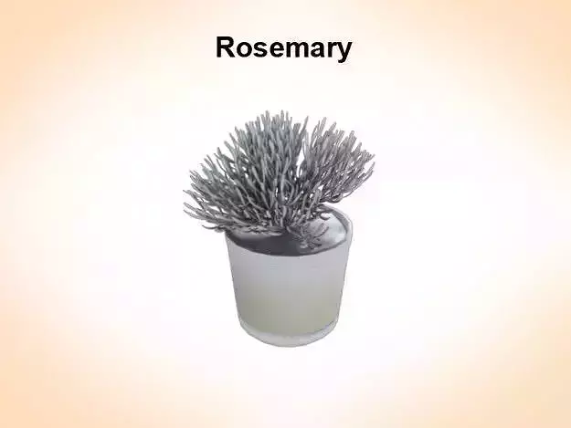 Rosemaryn rosemary candle