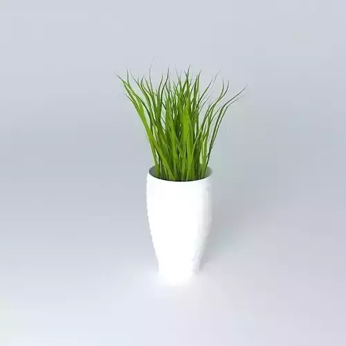 Vase grass in