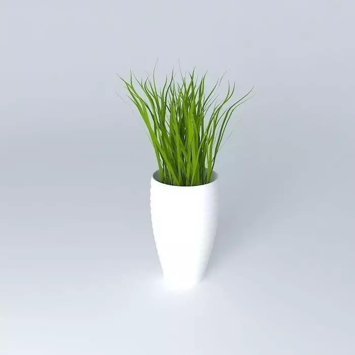 Vase grass in Free 3D model