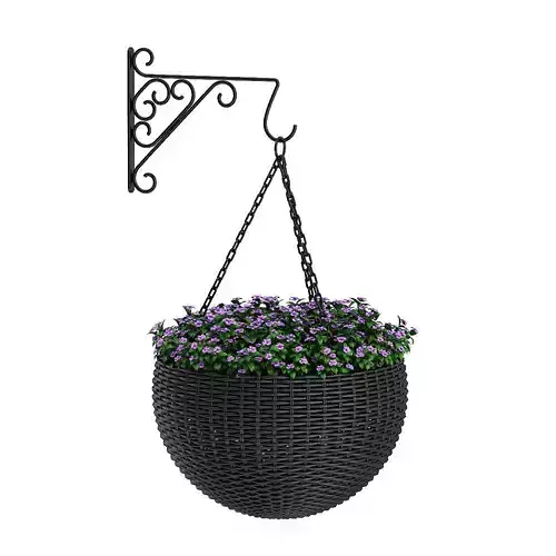 Wall Hanging Flowers