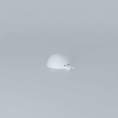Igloo turtle 3D model