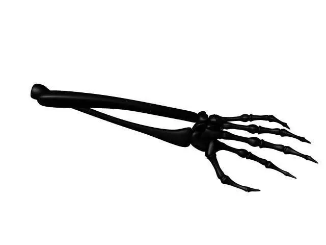Skeleton Hand AAA 3D model