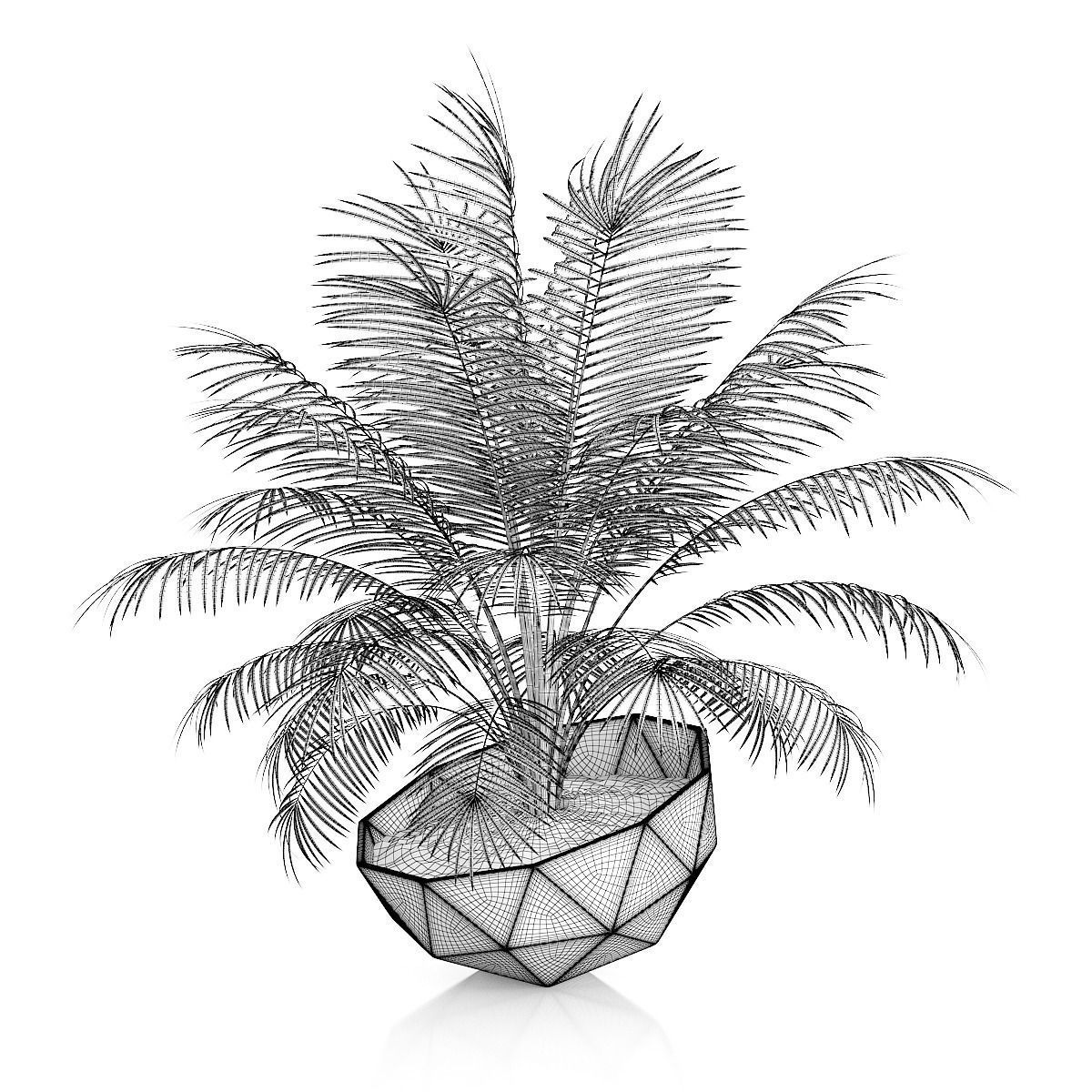 Palm Tree in Modern Pot 3D model_5