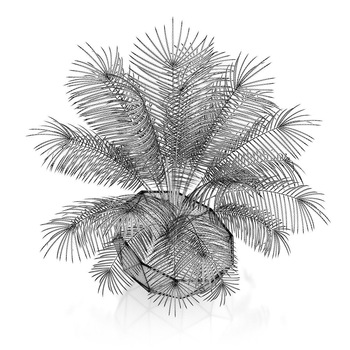 Palm Tree in Modern Pot 3D model_3