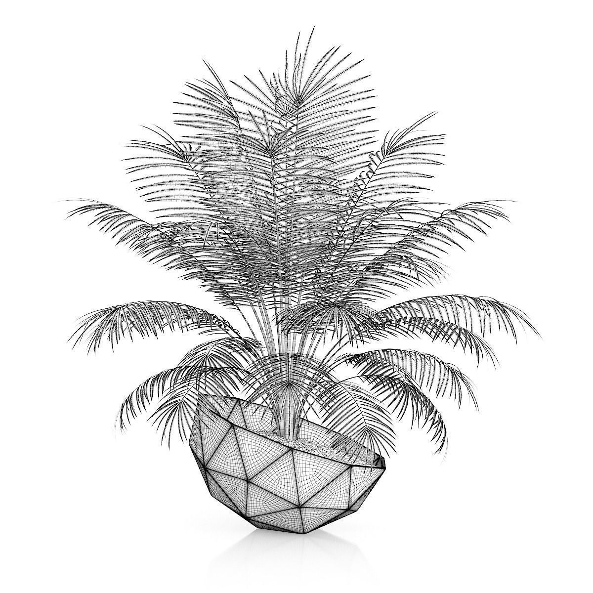 Palm Tree in Modern Pot 3D model_1