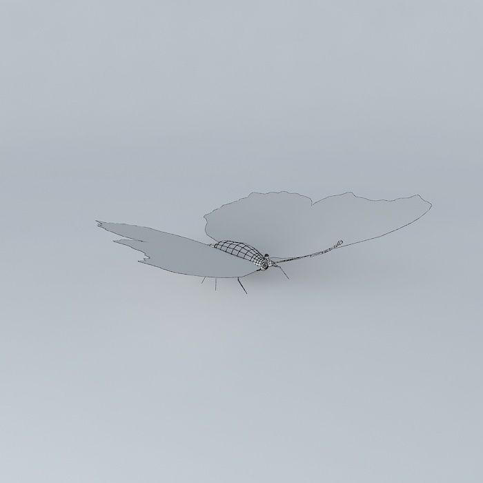 Butterfly peacock Free 3D model_4