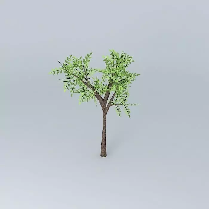 Tree Free 3D model