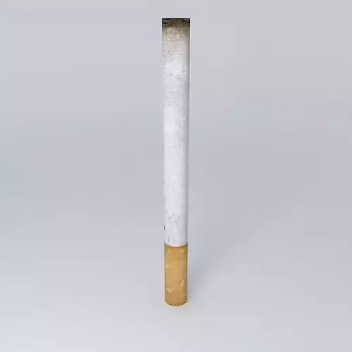 Cigarette Lit 3D model
