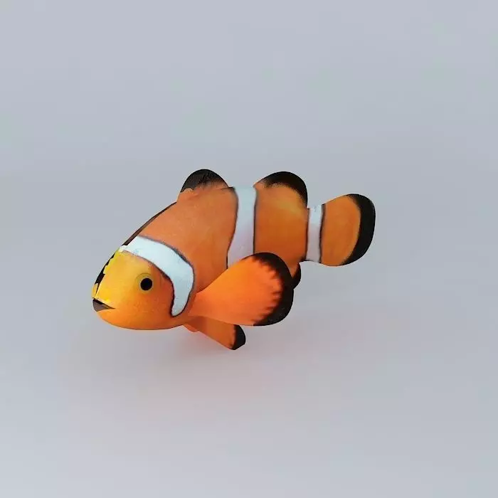 Fish like Nemo Free 3D model