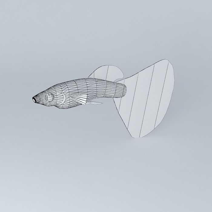 Very colorful fish Free 3D model_3