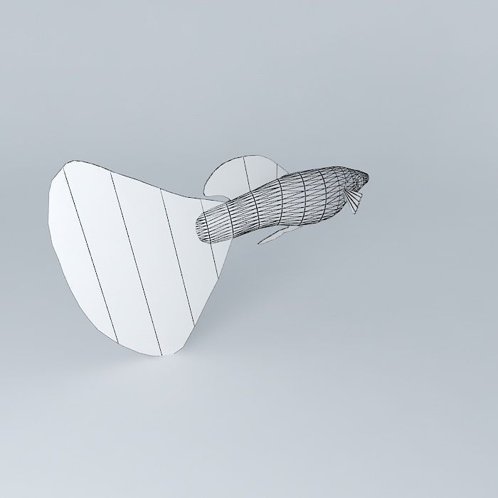 Very colorful fish Free 3D model_4