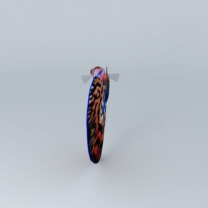 Very colorful fish Free 3D model_2