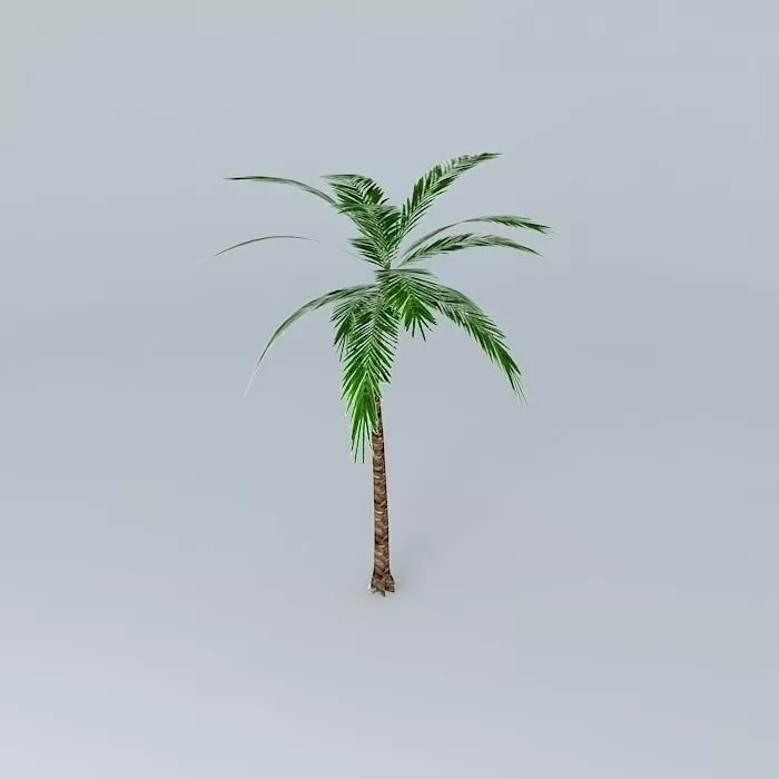 A palm tree Free 3D model