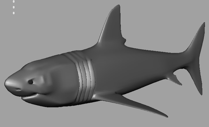 Shark AAA Low-poly 3D model_6