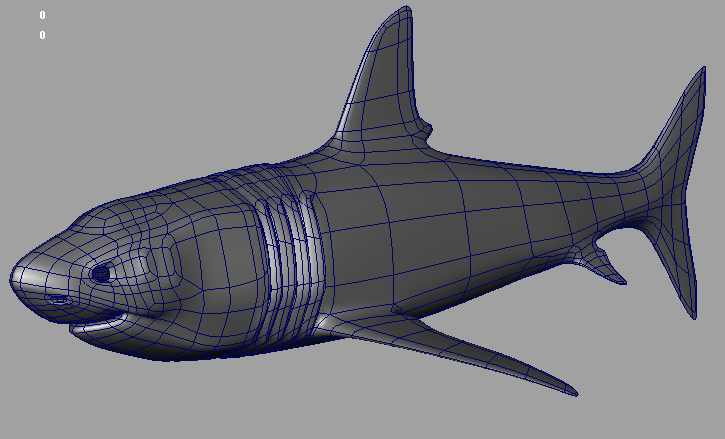 Shark AAA Low-poly 3D model_7