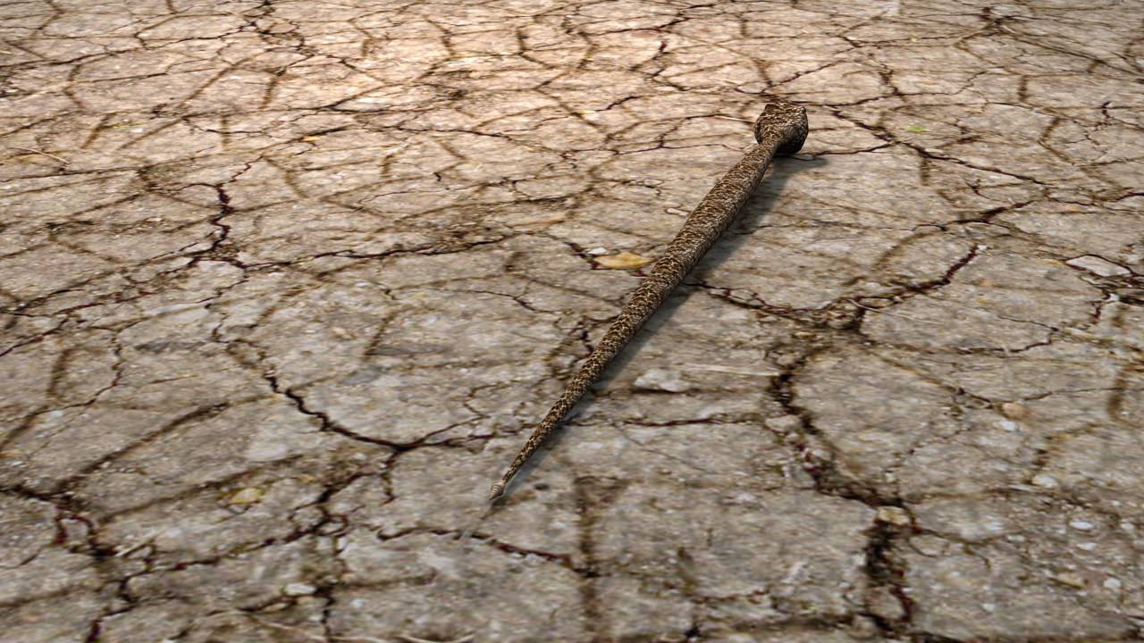 AAA Very Low Poly Snake Low-poly 3D model_7