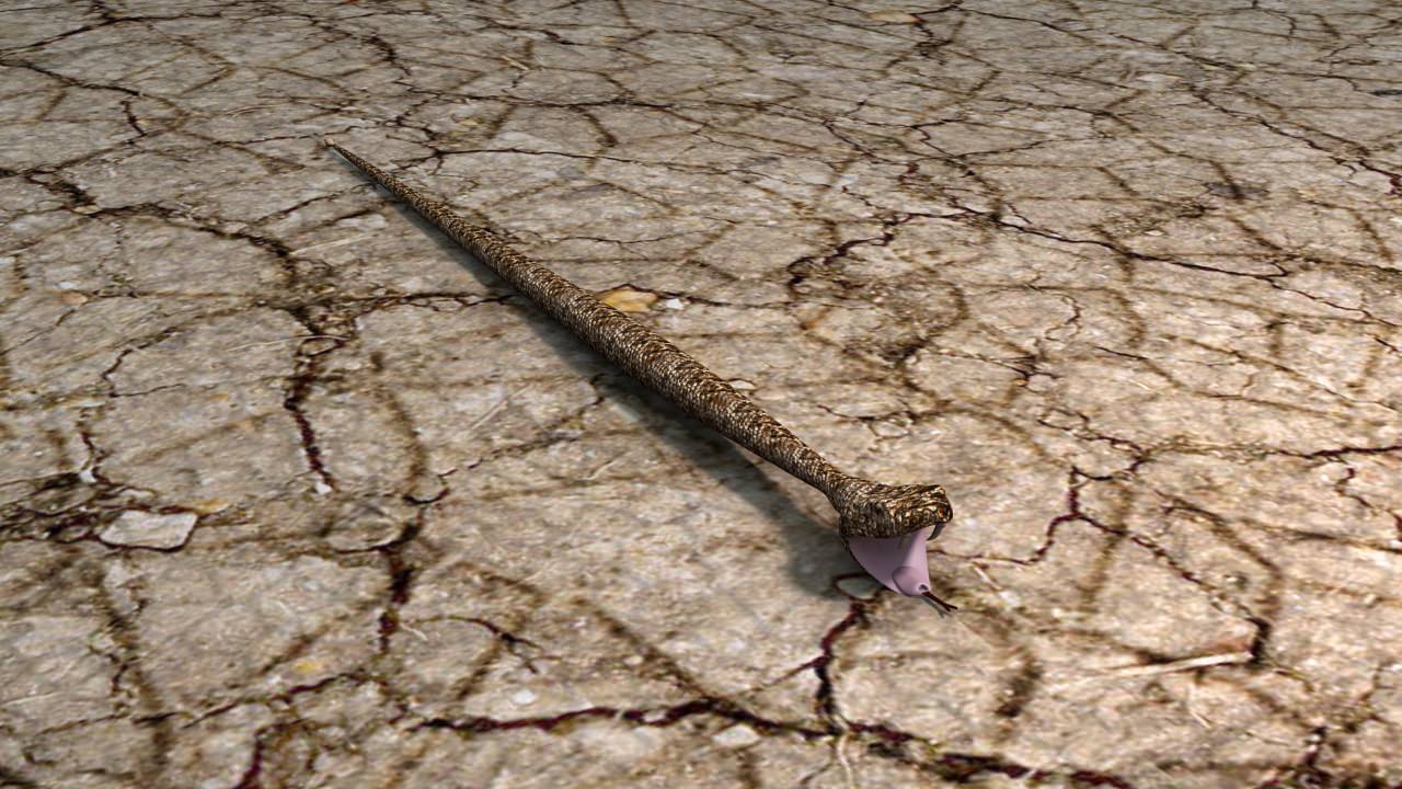 AAA Very Low Poly Snake Low-poly 3D model_5