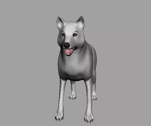 Wild Wolf AAA Low-poly 3D model_0