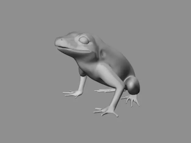 Frog 3D model_0