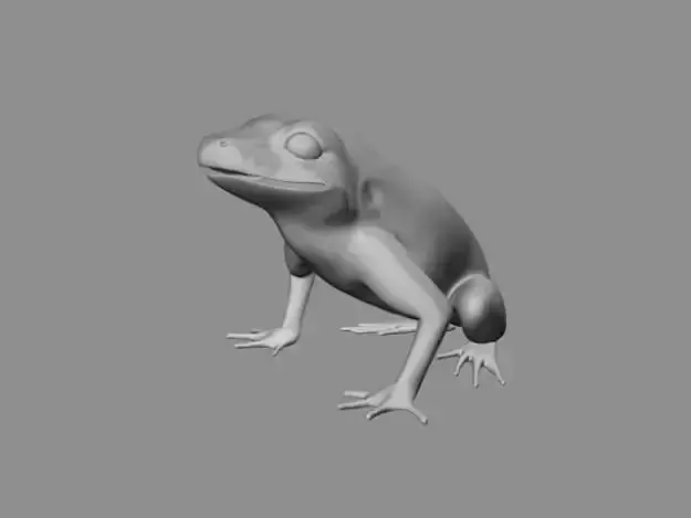 Frog