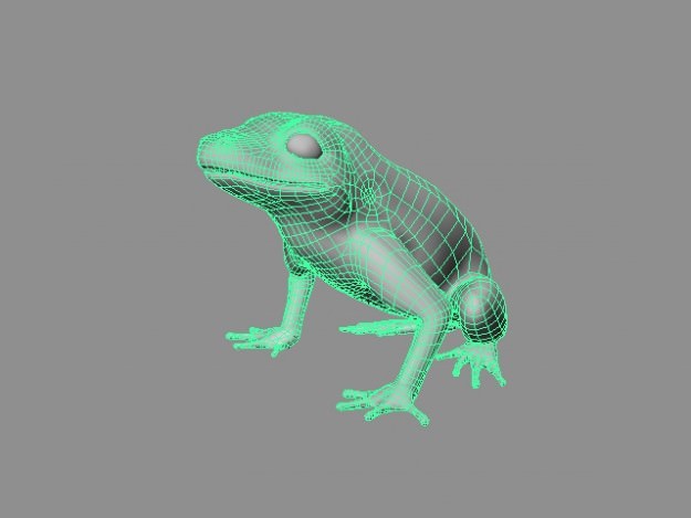 Frog 3D model_1