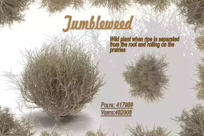 Tumbleweed twigs