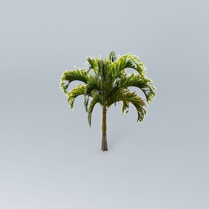 Christmas Palm Tree Free 3D model_1