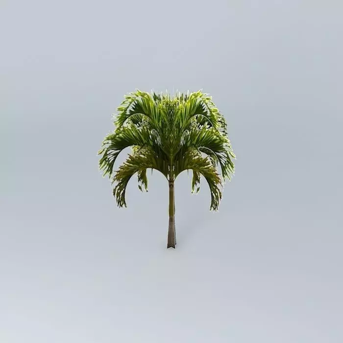 Christmas Palm Tree Free 3D model_0
