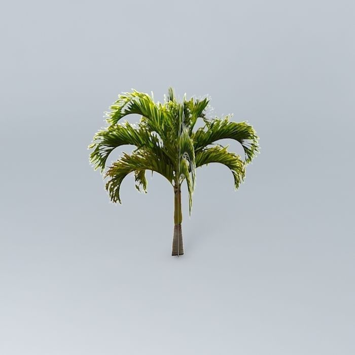 Christmas Palm Tree Free 3D model_2
