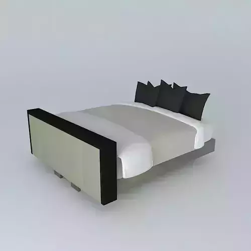 King bed with TV