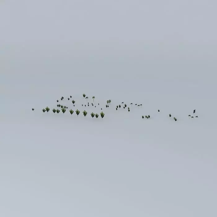 Trees on the Port Part 07 Free 3D model_0