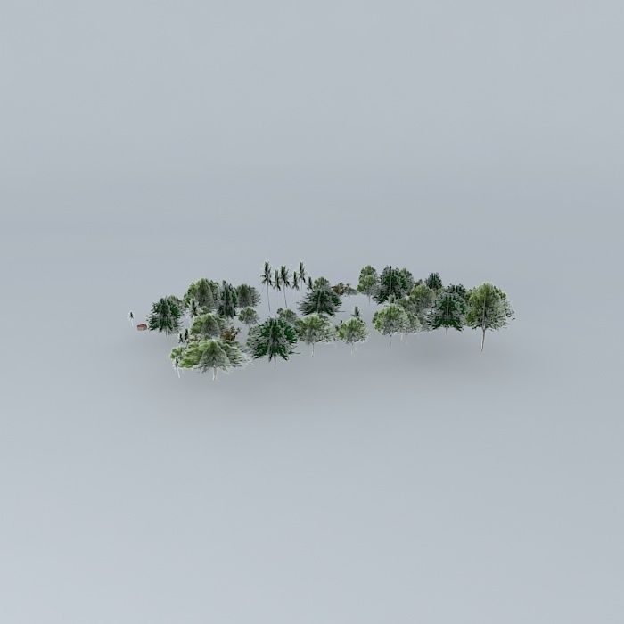Botanic Garden Trees 02 Free 3D model_1