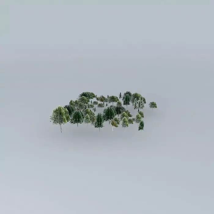Botanic Garden Trees 02 Free 3D model_0