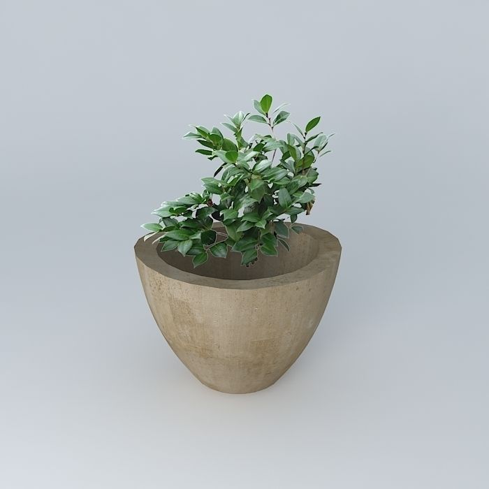 Big pot with bush 3D model_2