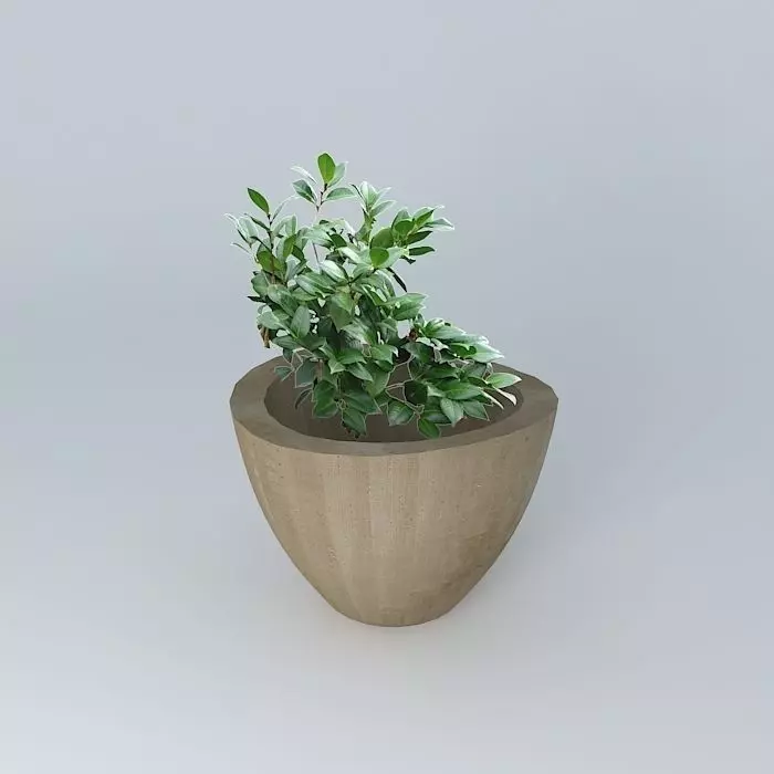 Big pot with bush 3D model_0