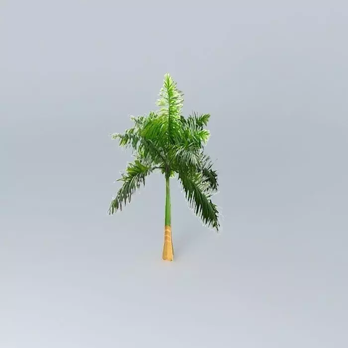 Cuban Royal Palm Tree Free 3D model_0