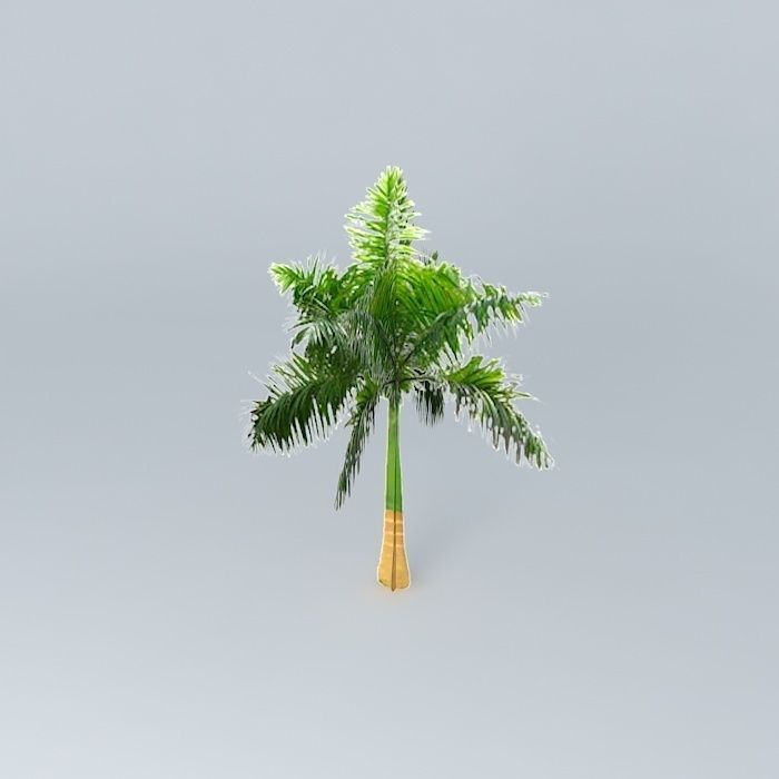 Cuban Royal Palm Tree Free 3D model_1