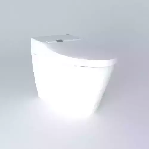 Toto tankless toilet