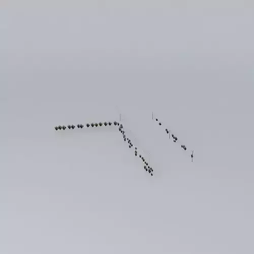 Trees on the Port Part 01 Free 3D model