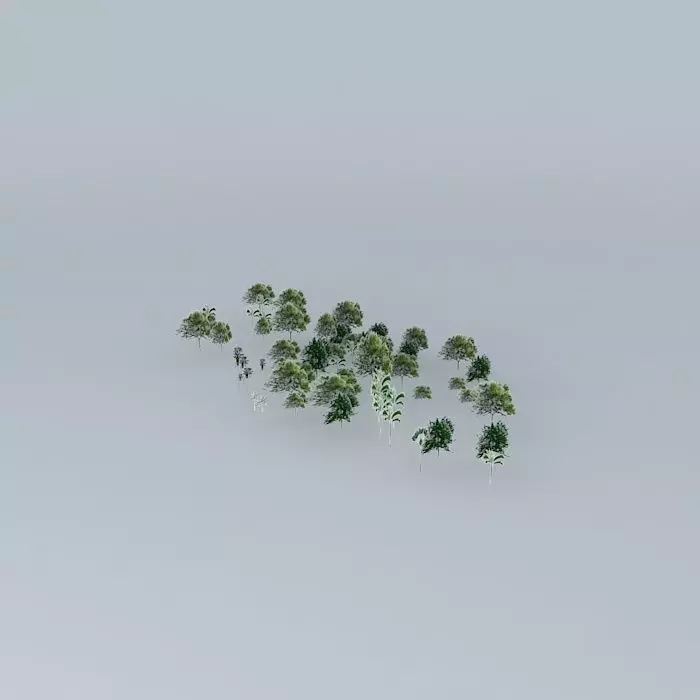Botanic Garden Trees 03 Free 3D model_0