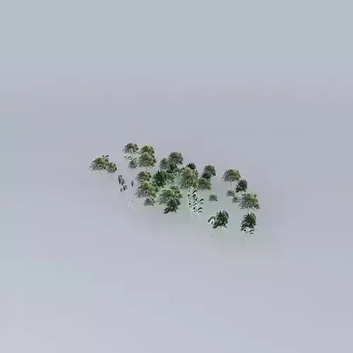 Botanic Garden Trees 03