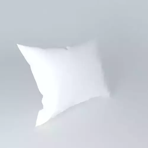 Complex wrinkled pillow