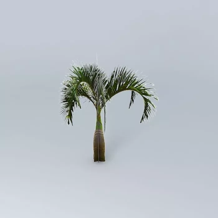 Bottle Palm Tree Free 3D model