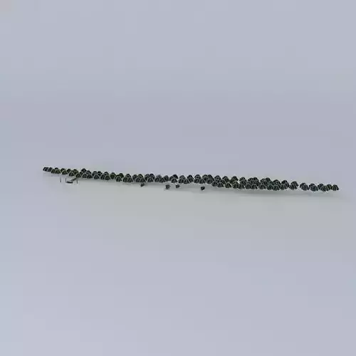 Mangroves trees 26 Pontoon boarding