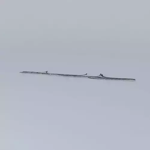 Brisbane Riverside Expressway Free 3D model