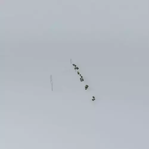 Trees on the Port Part 02