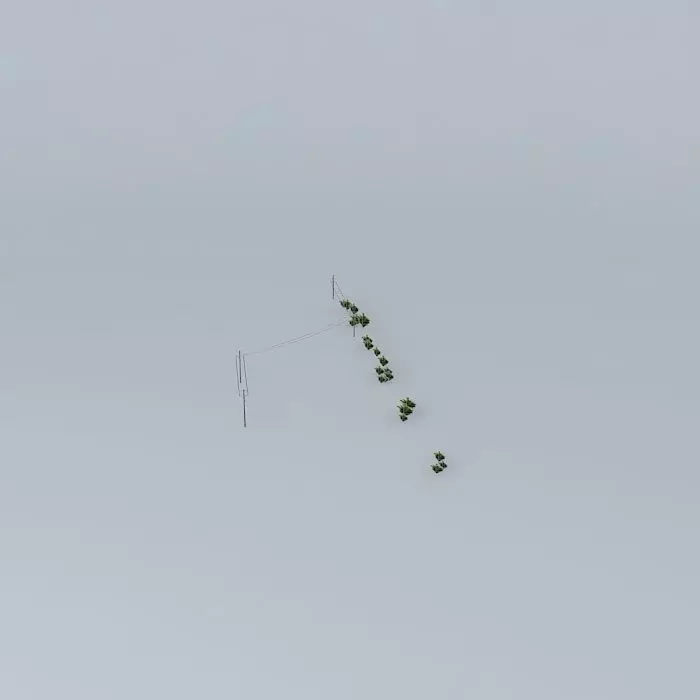 Trees on the Port Part 02 Free 3D model_0